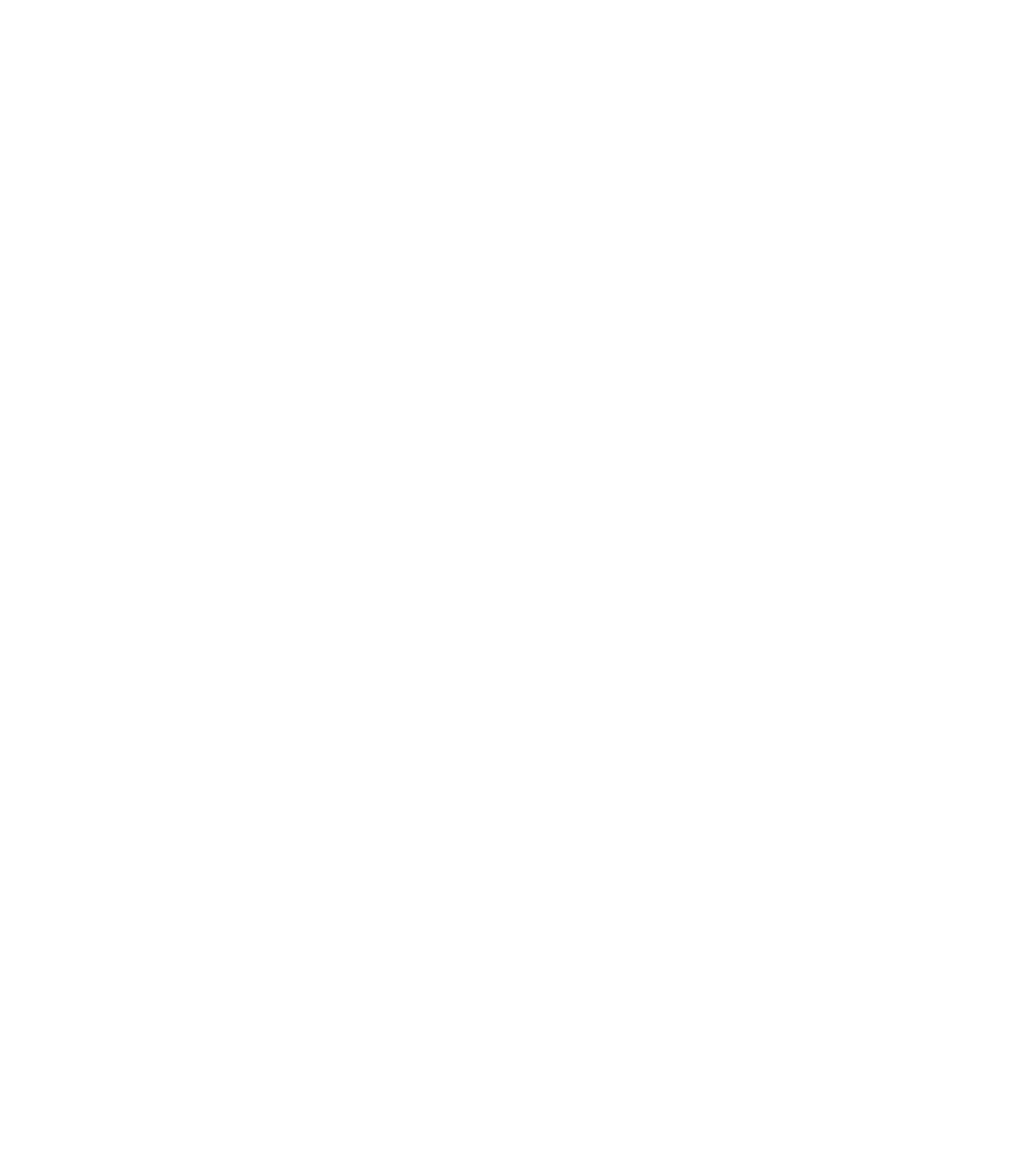 C++